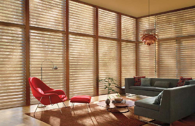 Silhouette Window Shade - Hunter Douglas