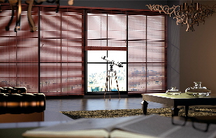 Leather Venetian Blinds