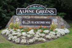 alpine-Greens-1